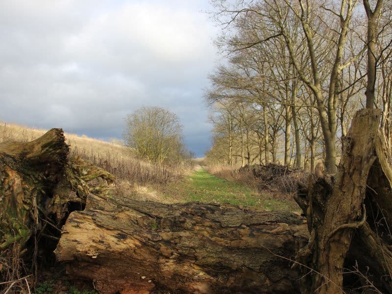 Natuurfotografie