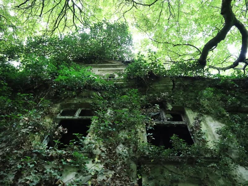 Urbex